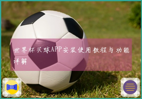 世界杯买球APP安装使用教程与功能详解