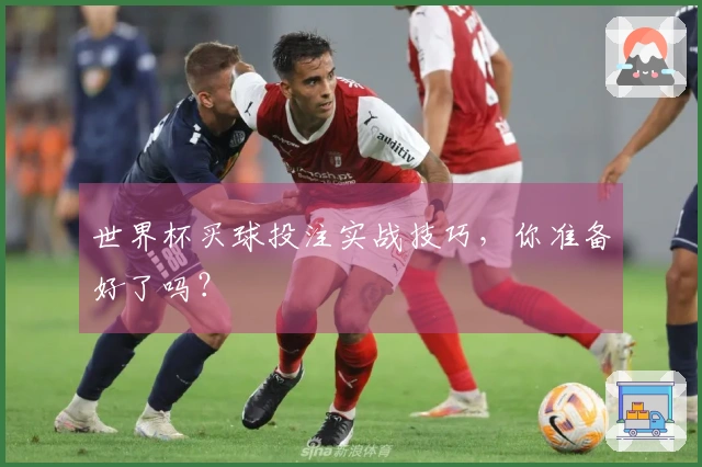 世界杯买球投注实战技巧，你准备好了吗？
