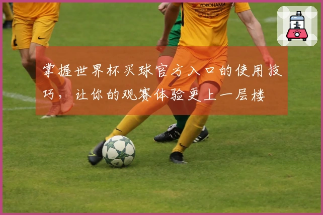 掌握世界杯买球官方入口的使用技巧，让你的观赛体验更上一层楼