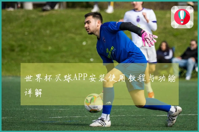 世界杯买球APP安装使用教程与功能详解