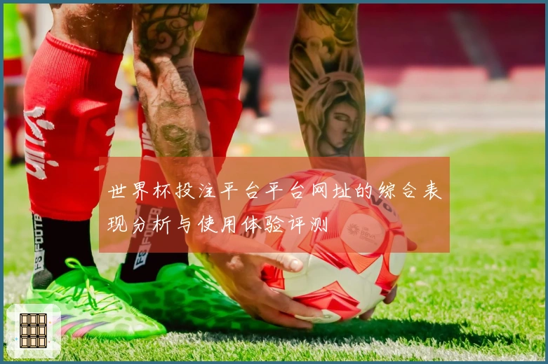 世界杯投注平台平台网址的综合表现分析与使用体验评测