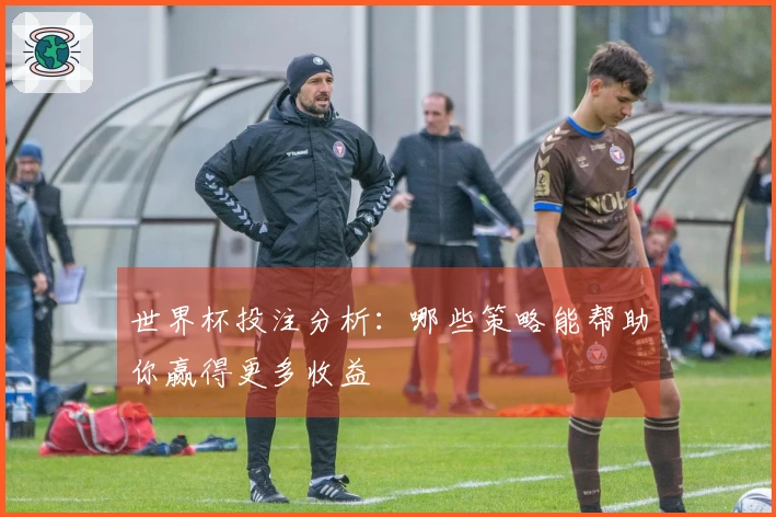 世界杯投注分析：哪些策略能帮助你赢得更多收益