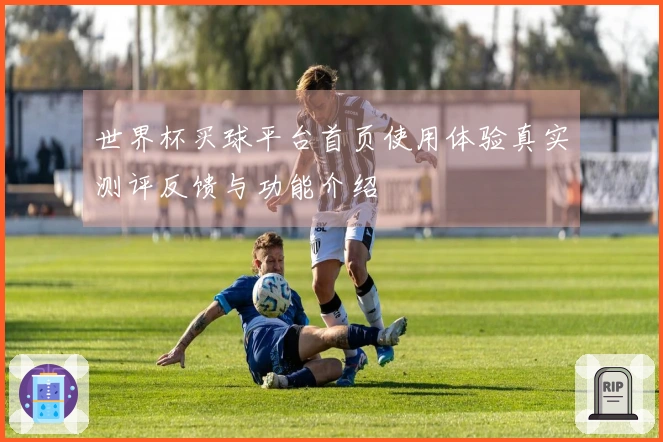 世界杯买球平台首页使用体验真实测评反馈与功能介绍