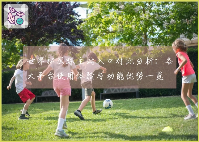 世界杯买球主站入口对比分析：各大平台使用体验与功能优势一览
