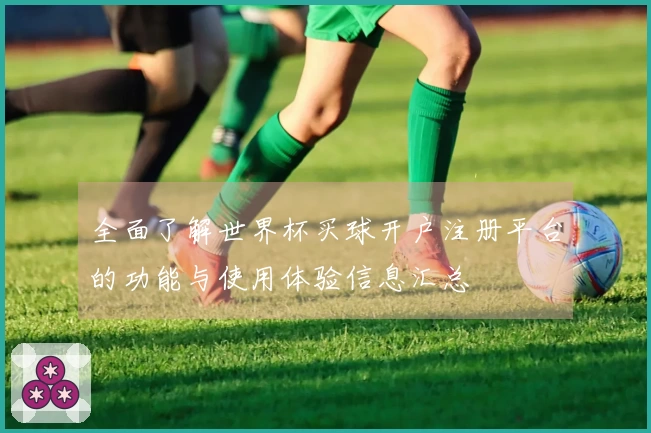 全面了解世界杯买球开户注册平台的功能与使用体验信息汇总
