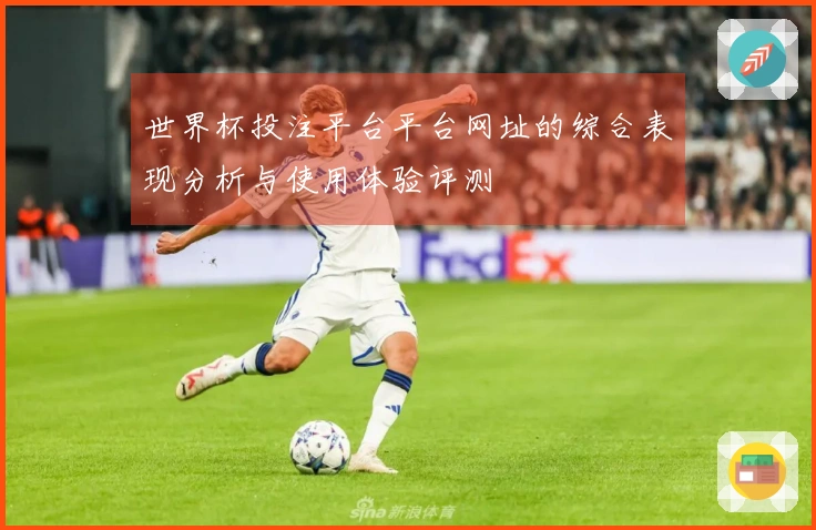 世界杯投注平台平台网址的综合表现分析与使用体验评测