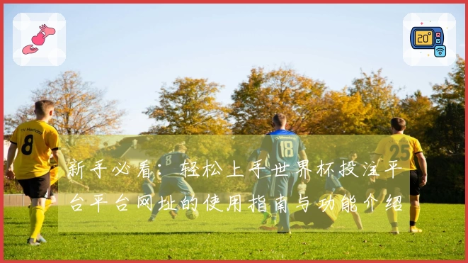 新手必看：轻松上手世界杯投注平台平台网址的使用指南与功能介绍