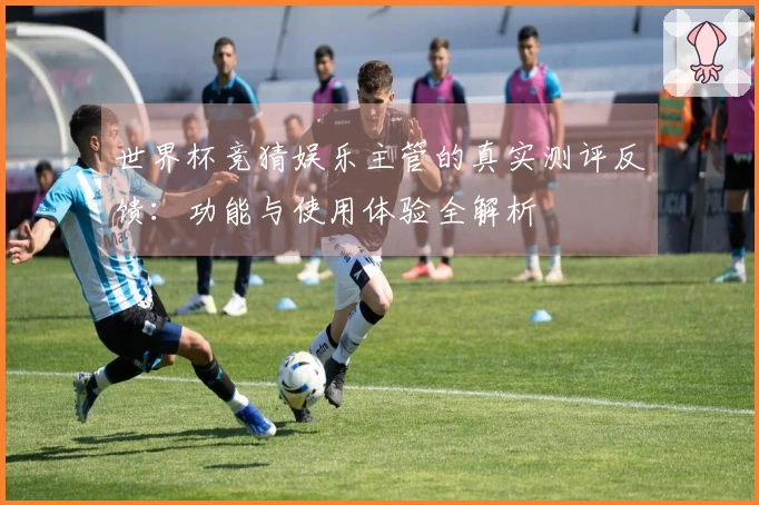 世界杯竞猜娱乐主管的真实测评反馈：功能与使用体验全解析